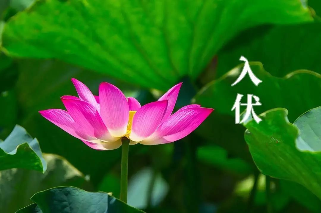 微信图片_20220718091054